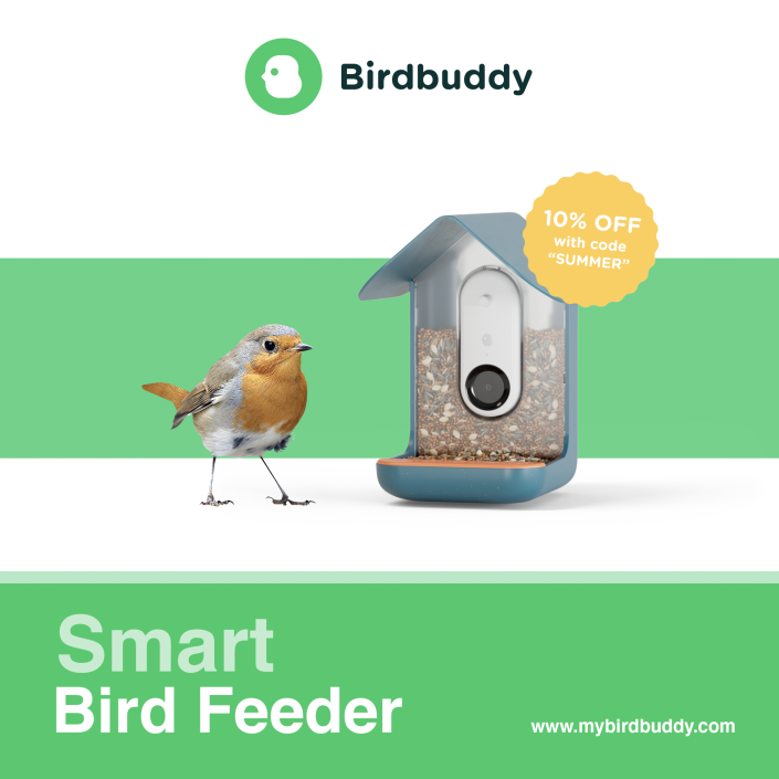 Smart_Bird_Feeder_Facebook_Ad
