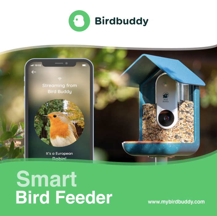 Smart _Bird_Feeder_Instagram_Ad